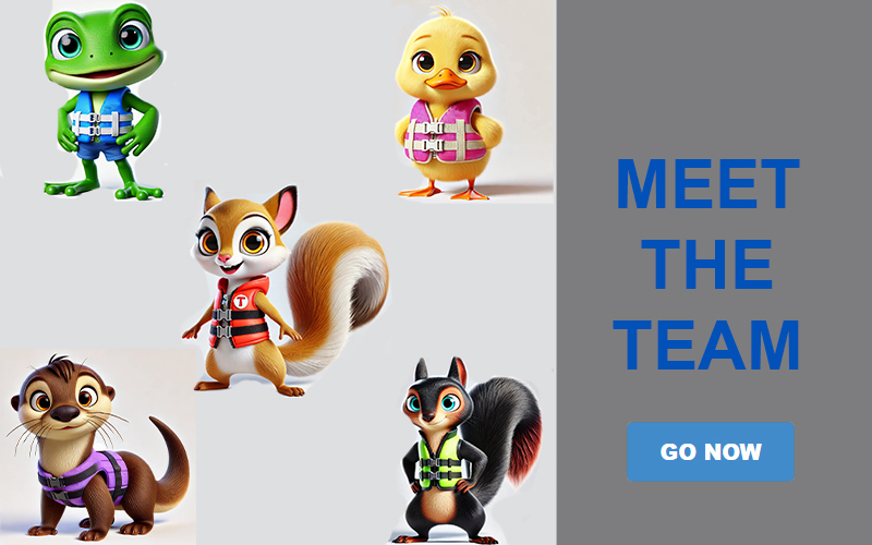 MEET
